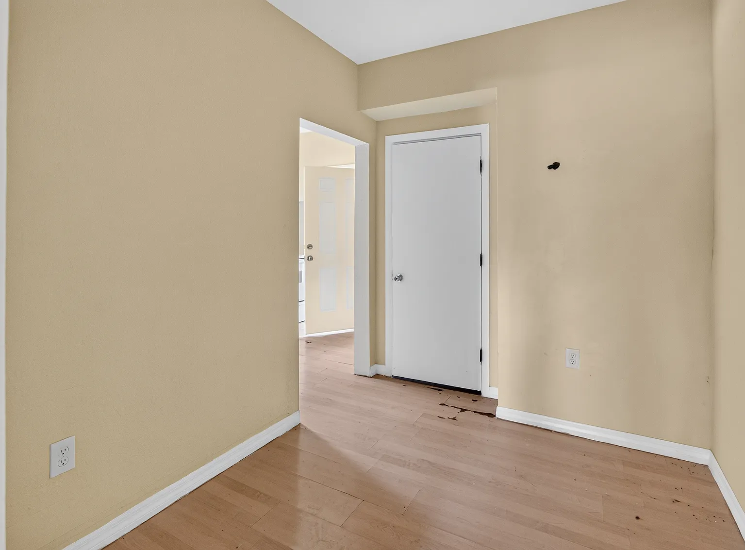 1 bed, 625 sqft, $1,300 — Photo 4