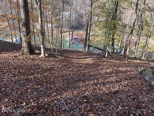 2nd image of Deer Run Pl