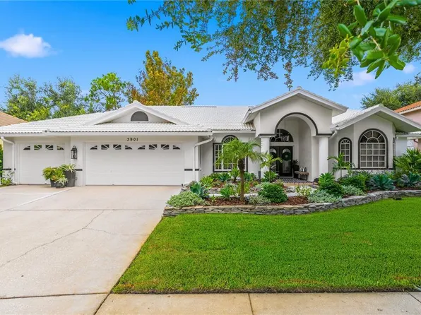 3901 Tarian Ct, Palm Harbor, FL 34684