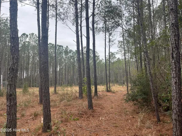 12043 Nc Highway 304, Bayboro, NC 28515