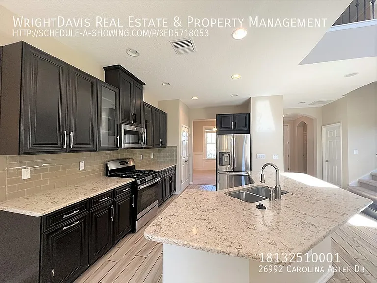 26992 Carolina Aster Dr — Photo 6