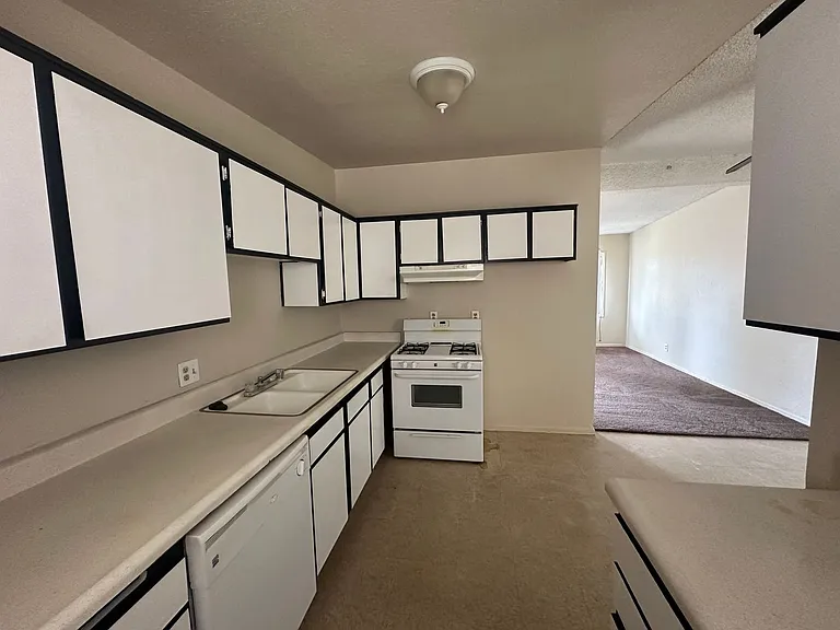 237 Palm Dr — Photo 7