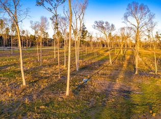 4 Johnson Dr LOT 4, Livingston, TX 77351