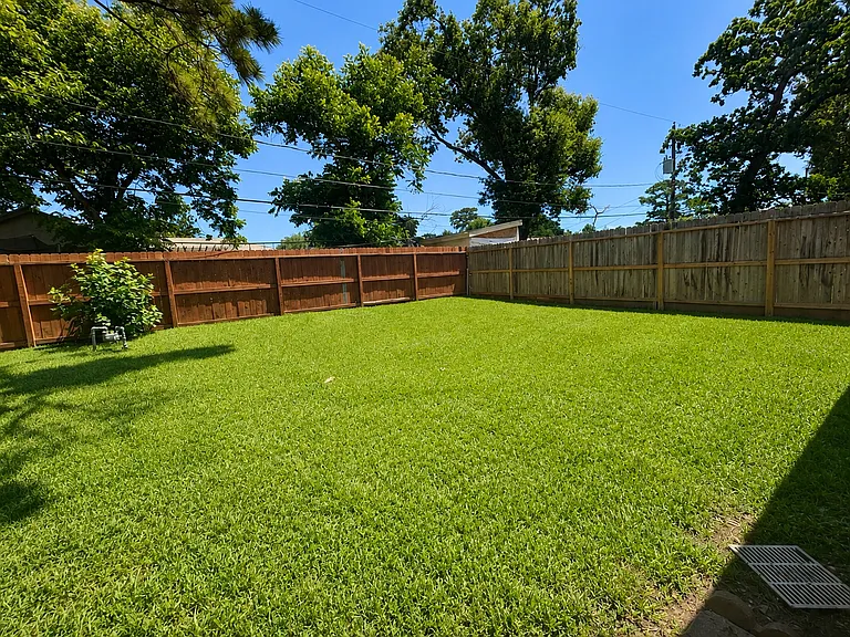 Spacious Backyard