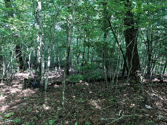 2nd image of LT 13 Pine Ln