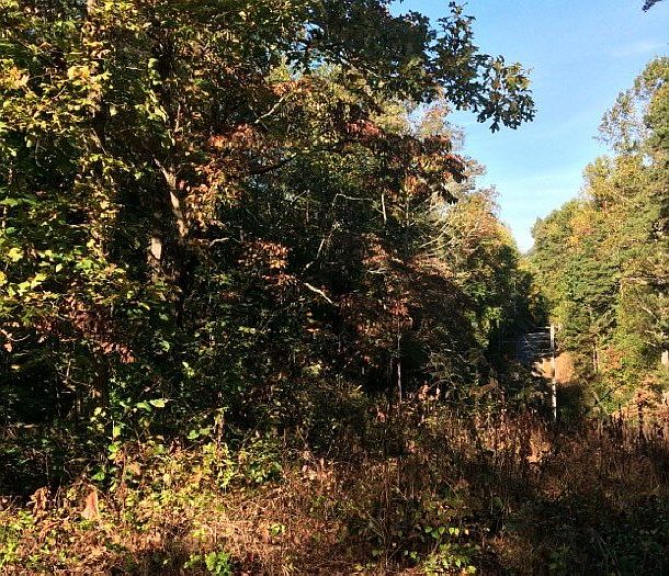 1st image of Woodland Ln