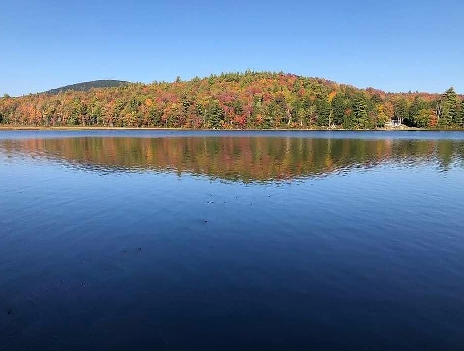 217 Halfmoon Pond Road, Washington, NH 03280 Zillow