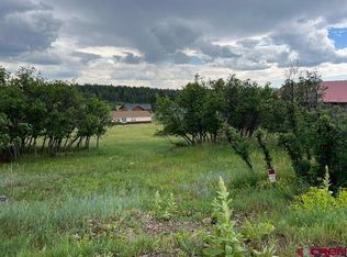 109 Caballero Dr, Pagosa Springs, CO 81147