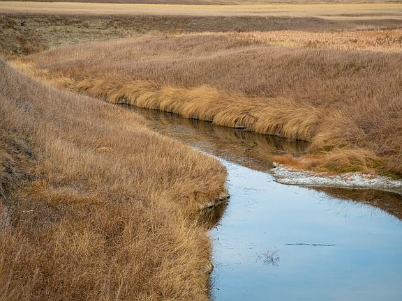 2nd image of 1905 10th St NW