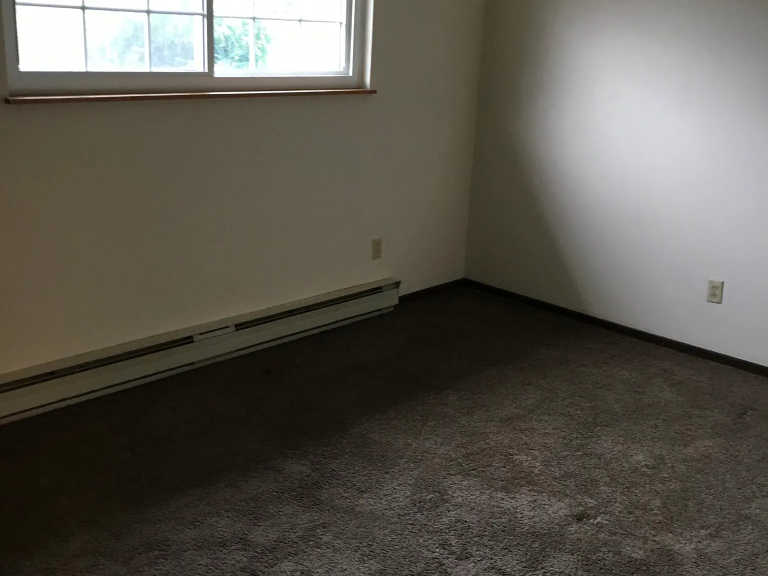 1 bed, $725 — Photo 2