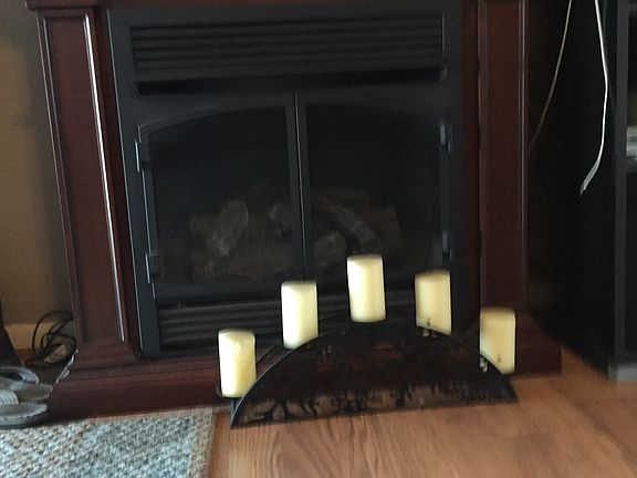 Gas fireplace 