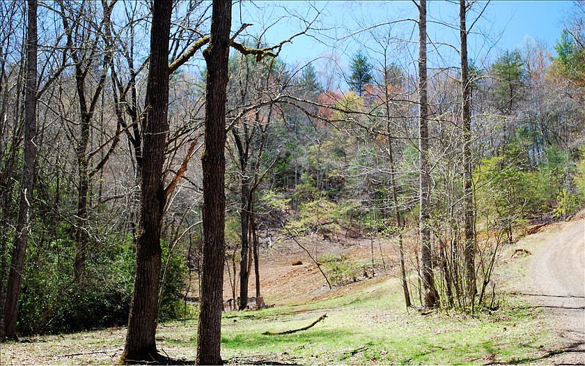 1st image of 461 River Cove Ln
