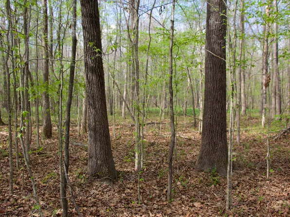 780 Breedlove Rd, Michigan City, MS 38647