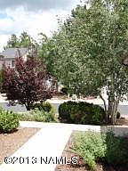 View From Living Room