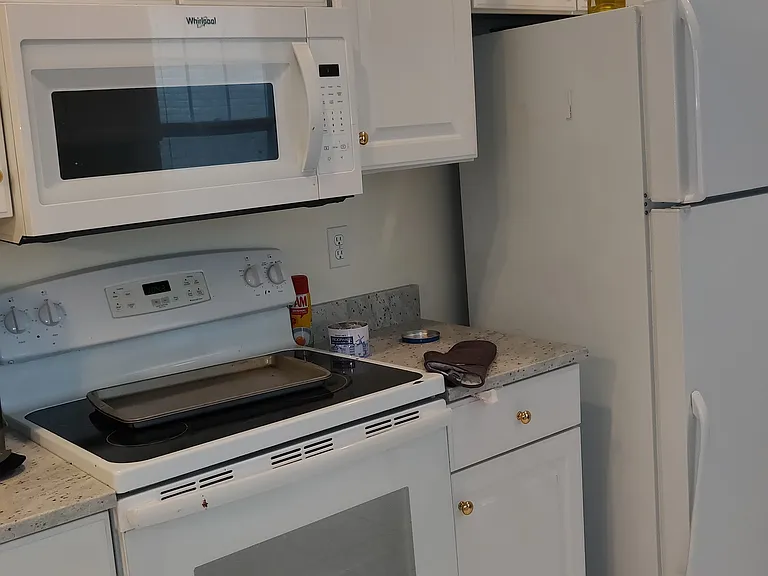 77 Gibbs St #3 — Photo 29