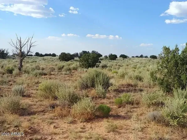 00 Kims Ranch Road #-, Snowflake, AZ 85937