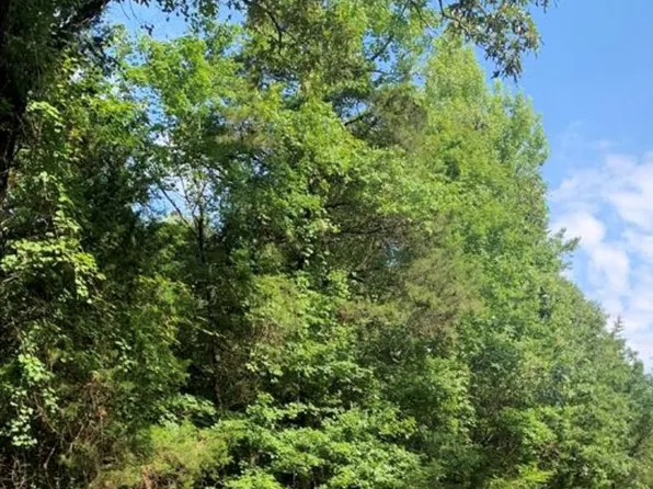 2150 Cedar Springs Rd, Bradley, SC 29819