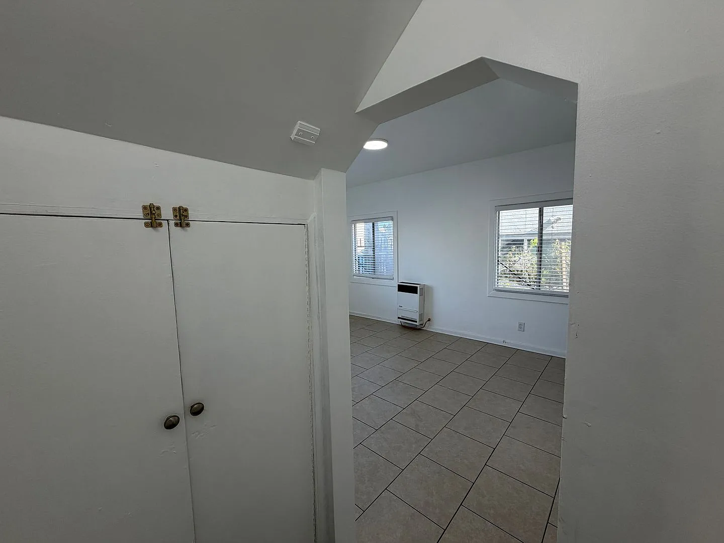 636 Lime — Photo 3