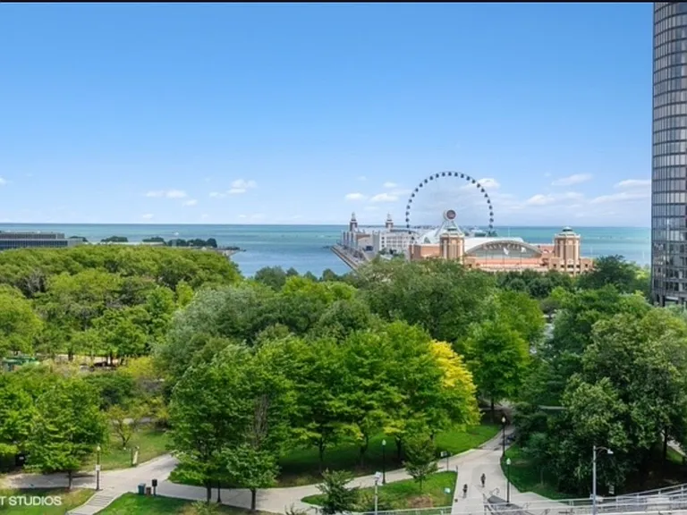 540 N Lake Shore Dr #321 — Photo 13