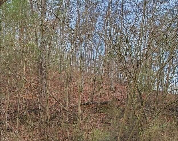 1st image of 9 Fox Hunters Ln #9
