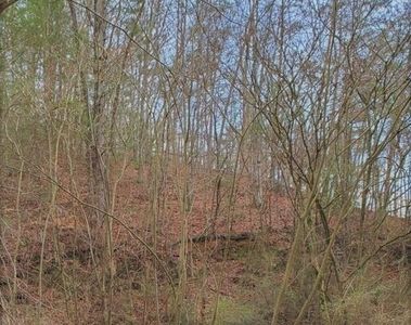 9 Fox Hunters Ln #9, Sevierville, TN, 37876