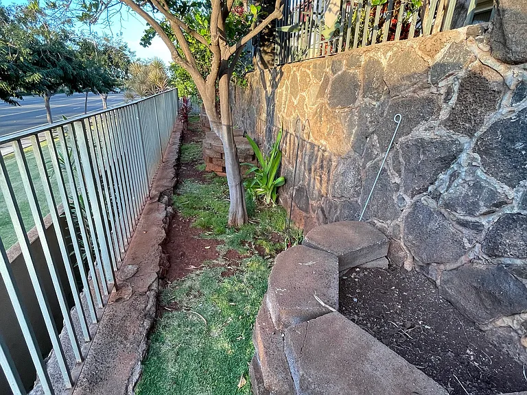 lower level with fruit trees