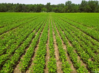 9654 Birch Run Rd, Millington, MI 48746