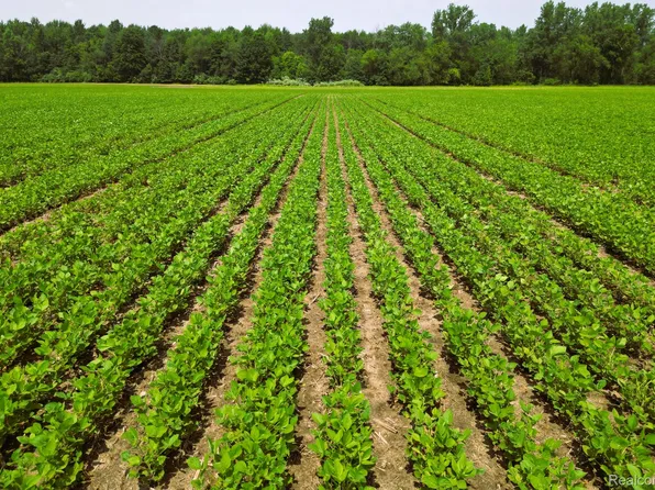 9654 Birch Run Rd, Millington, MI 48746