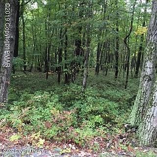 1st image of Wilson Ct