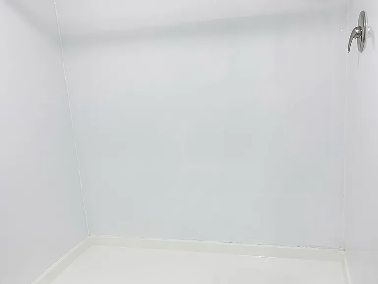 Master Bathroom Walk-In Shower