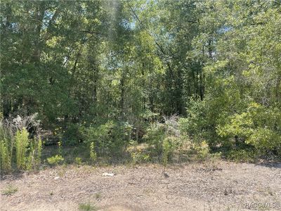 SW 22nd Pl, Ocala, FL, 34481
