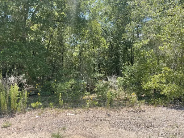 SW 22nd Pl, Ocala, FL 34481