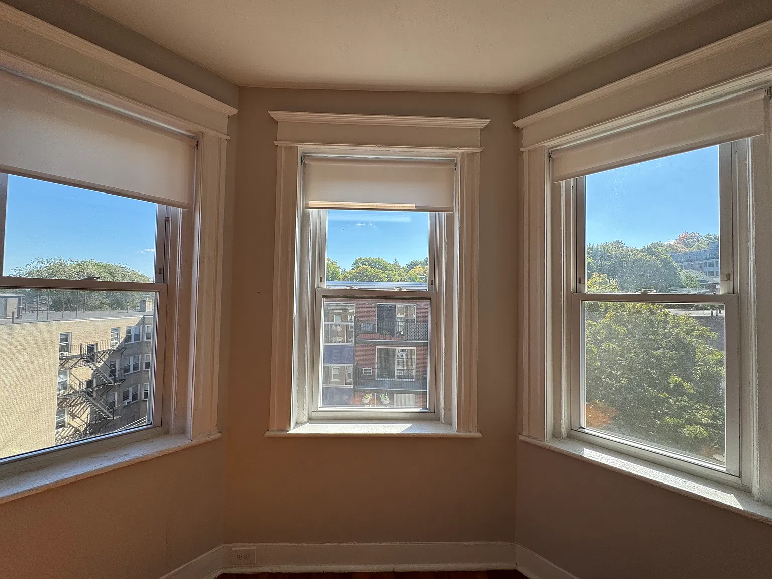 1 bed, 550 sqft, $2,063 — Photo 3