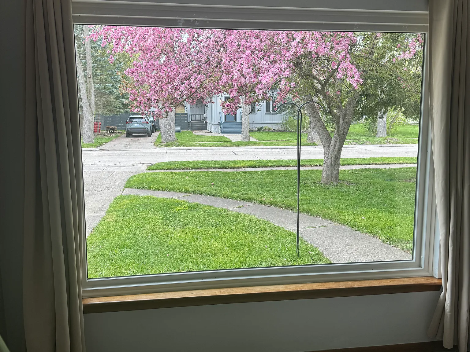 3 bed, 1036 sqft, $1,800 — Photo 1
