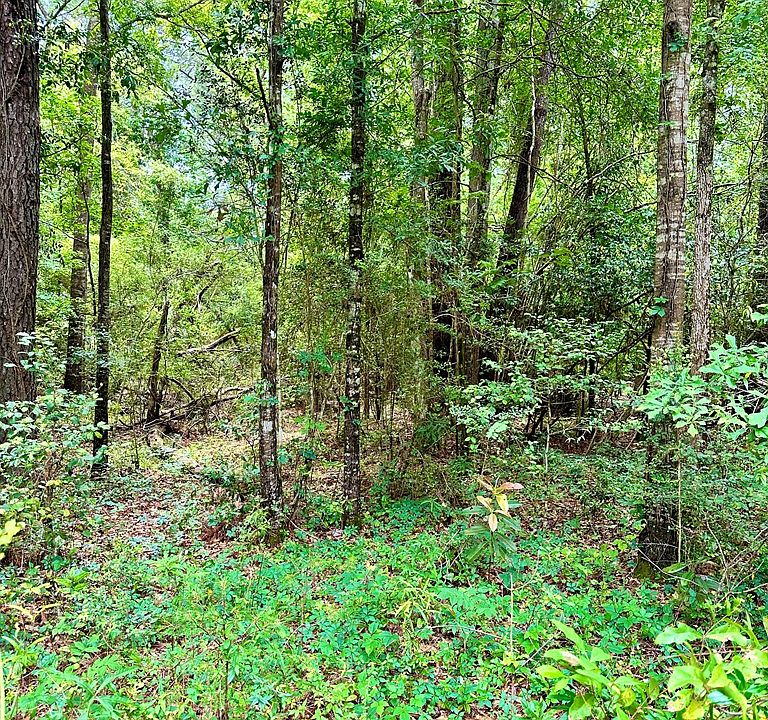 R12864 County Road 557, Kirbyville, TX 75956 MLS 71811 Zillow