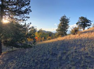 147 Saddle Horn Rd, Hartsel, CO 80449