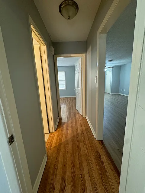 218 Pekin - 1 — Photo 4