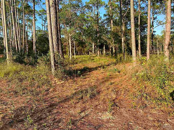 2nd image of Blackwater Dr