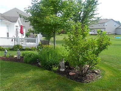 More perennials and landscaping done