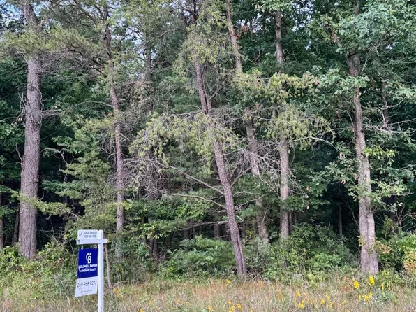 37 M, Baldwin, MI 49304