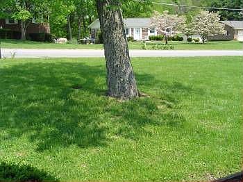 2nd image of 102 Westwood Dr