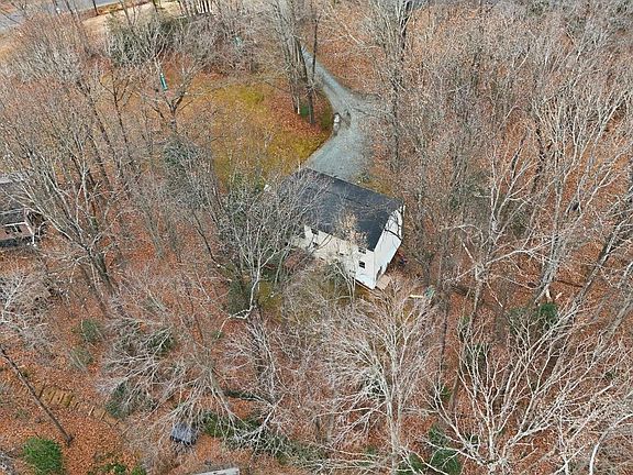 4th image of 12533 Basswood Dr