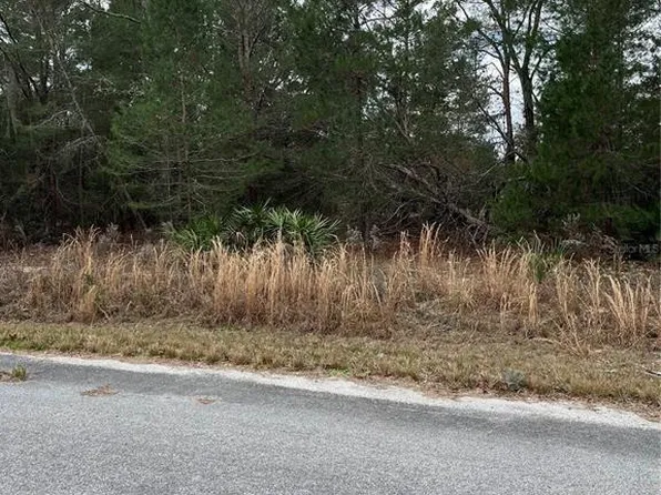 Malauka Radial Dr Lot 9, Weirsdale, FL 32195