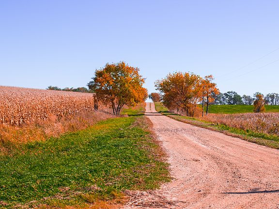 Driveway looking East. 