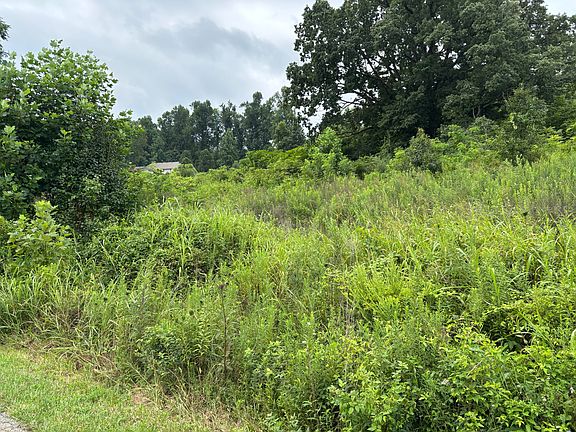 4th image of LOT 44 Coral Ln