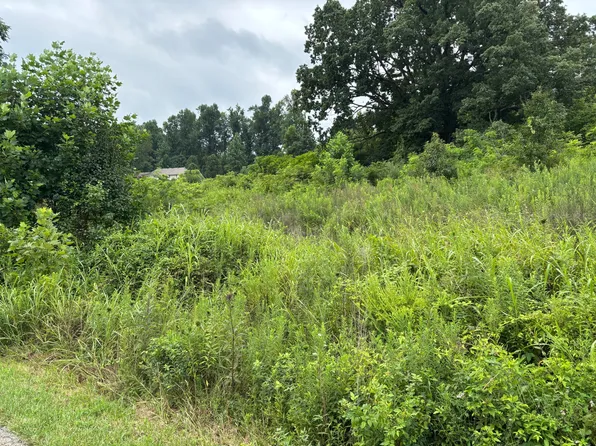 LOT 44 Coral Ln, Mount Vernon, KY 40456