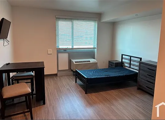 Studio, 350 sqft, $900 — Photo 3