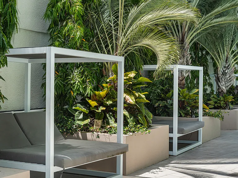 Spend some time relaxing poolside with cabanas and lounges
