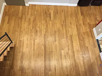 Rented by P Management