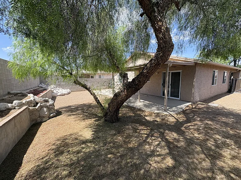 Rear yard